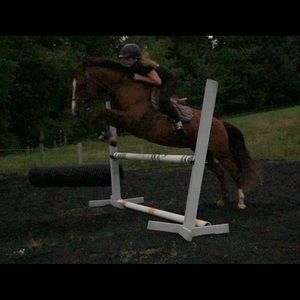 Meet your Posher, Haydee